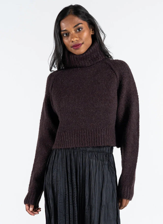 Crop Turtle Neck Sweater - Brown