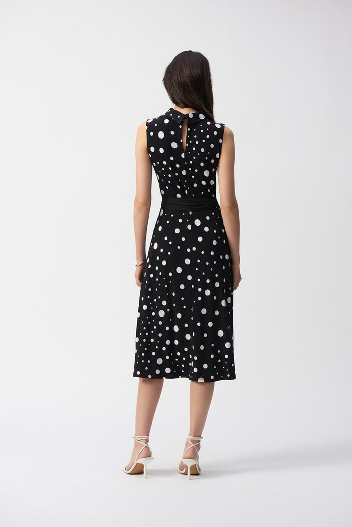 Silky Dot Print Fit and Flare Dress