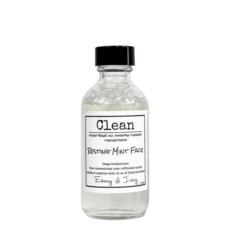 Resting Mint Face All Purpose Cleaner Refill