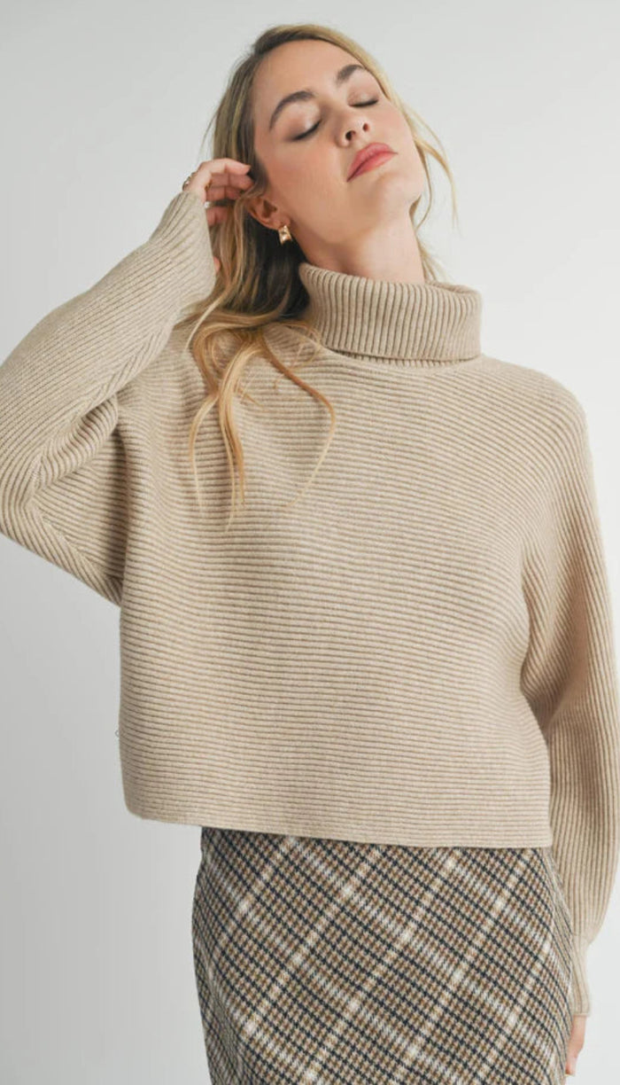 Anya Turtleneck Sweater