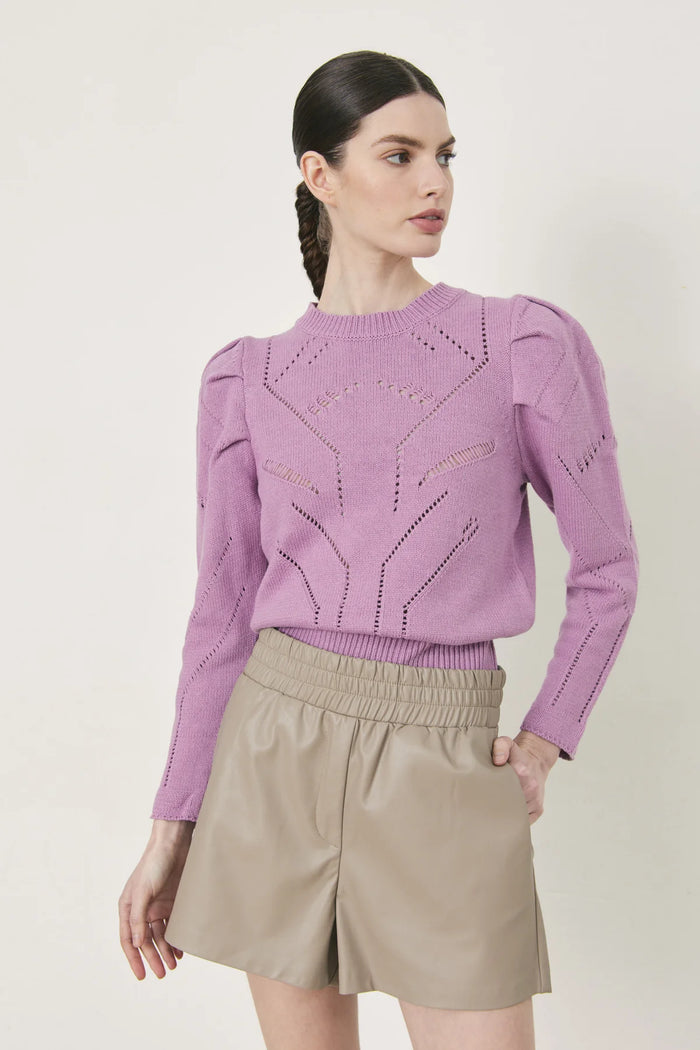 DELUC Blanchard Shorts- Vision