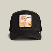 GOORIN BROS - Terry Cloth Cat