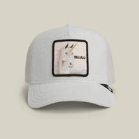 GOORIN BROS  Terry Cloth Unicorn