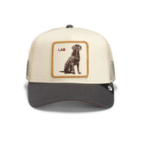 GOORIN BROS Shadow Lab Truckers Hat