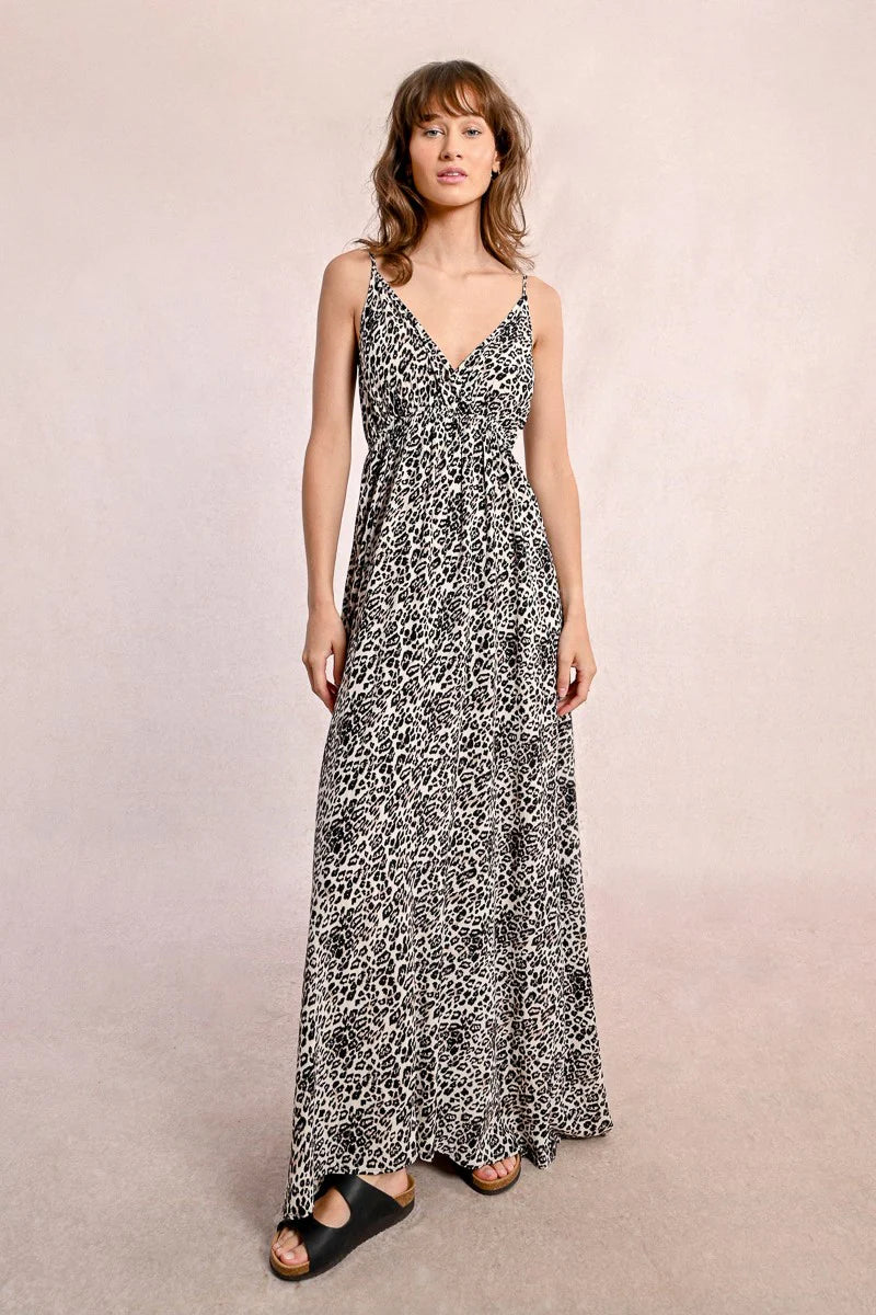 Long Leopard Print Dress