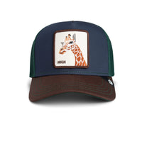 Tricolor Giraffe